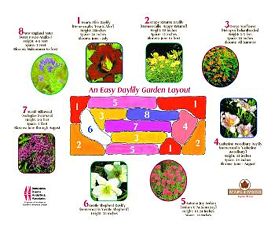 Click Layout to See Larger Version of Daylily Garden Layout.