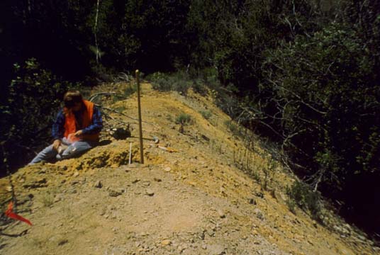 Soil Sampling at Cabin Branch Mine Restoration Project, Craters of the Moon National Monument, Idaho